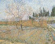 Vincent Van Gogh Orchard with Peach Trees in Blossom (nn04) Spain oil painting artist